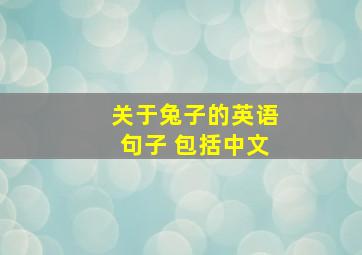 关于兔子的英语句子 包括中文